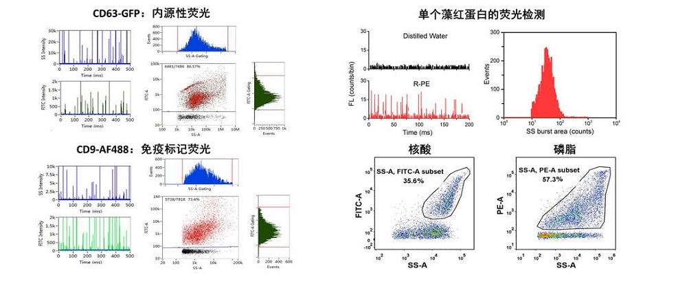 15563366797582.jpg TIM截图20190427113235.jpg
