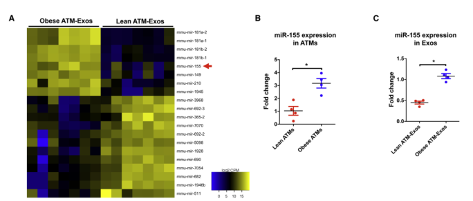 15563513304722.png image.png