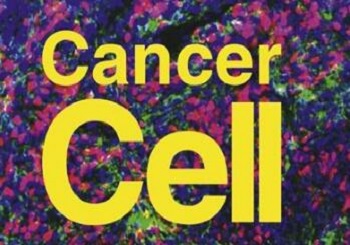 外泌体LncRNA促进肿瘤细胞耐药性