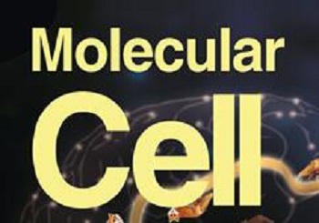 肿瘤缺氧环境促进外泌体癌症LncRNA高表达