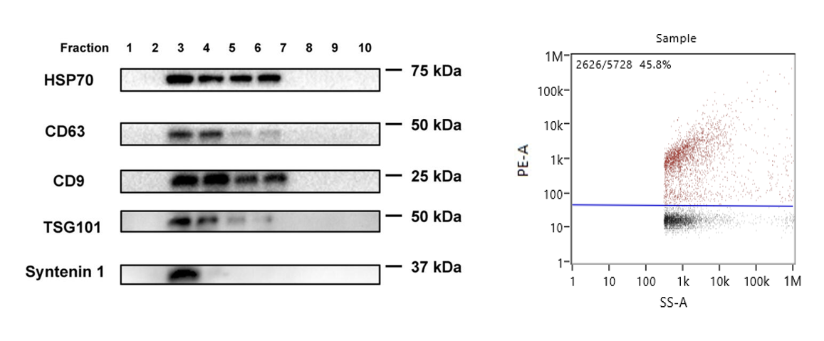 15577393698663.png image.png